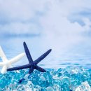 과학이야기3 이미지