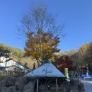 산아래 | 제천 리솜포레스트 근처 맛집 산아래 본점 내돈내산 후기