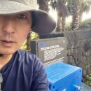 이필모 카카오 검색결과