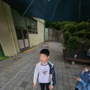 호신태권도 이미지