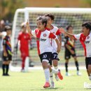 장주원 환상 역전골… 포항 골든주니어FC, 대전제일 2-1로 꺾고 영덕 풋볼페스타 6학년부 정상 등극 이미지