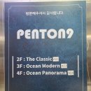 펜톤나인 이미지