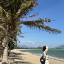 두건목장 | 나트랑 모닝투어 사막투어 마이리얼트립 할인 판랑투어 준비물 사진 꿀팁 베나자 후기 판랑 무이네 비교