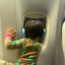 천보파트너스 | ✈️ 18개월 아기와 다녀온 도쿄 여행 후기 Day1 | 시부야 스카이, 모헤지 몬자야키