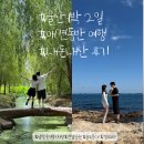 울산 애견동반 1박2일 내돈내산 여행 후기, 남창옹기종기시장/울산슬도등대/울산연암정원/경주도미