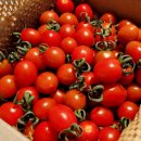 부자 농장 이미지