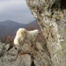 향로농장 이미지