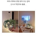 새순미용실 이미지