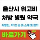 새현대약국 | 울산 위고비 처방 병원 약국 싼곳 어디? 최저가 찾는 법