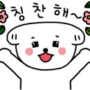 풍경채해풍코다리 이미지