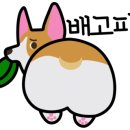 행궁만두