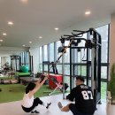 트레인하드 이미지