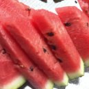 파도소리펜션 이미지