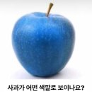 갑타 가비지타임 트위터 아카이빙 6 이미지