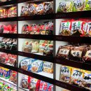 2025년 의정부 시티투어 이미지