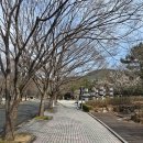 장산 | &lt;일상&gt; 부산 해운대 장산 등산 후기