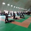 최강합기도 이미지