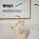 냥냥펀치