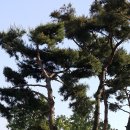 재성농장 이미지