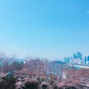 일루아호텔 이미지