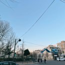 레이나플레르