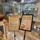 히히냥냥 이미지