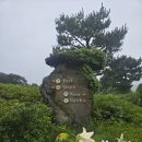 사이프러스CC 이미지