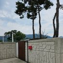 별장도초 이미지