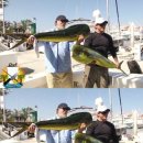 이건사자 이미지