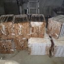 (주)더에스제이 이미지