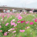 가곡강변로 이미지