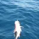 북부산셀프주유소 이미지