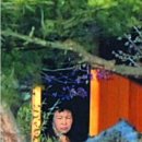 미진실업 이미지