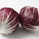 치커리(chicory) 이미지