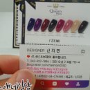 레푸스앤네일맘