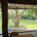 초연스테이 이미지