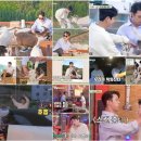 뉴힐링타임 이미지