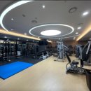 강남스포렉스 이미지