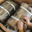 양지-5 | 쿠팡 양지4센터 알바 후기: 4,5,6,7,9라인 업무 비교 &amp; 쉬운 라인 찾는 법!