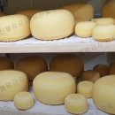 막내목장 이미지