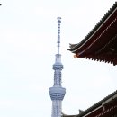 자연애민박 이미지