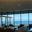 요가킹 | 제주 여행 (2) | 파르나스 제주 (디럭스 킹 일반 전망, 조식, 요가 후기)