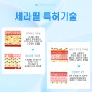 세라필의원 이미지