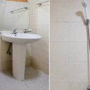 하얀둥지 이미지