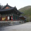 응석사주차장 Daum카페
