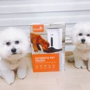 애이다앤코 이미지