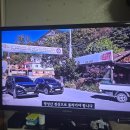 10 월 딘풍 수도권 가볼만한곳 이미지