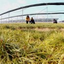 미광부분정비 이미지