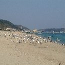 대진1리 대진해수욕장 이미지