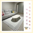 거실 단모 대형 러그 세탁 생활방수되는 채우다공간 사용 후기